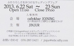 IMG_20130605_00011_NEW (500x310)